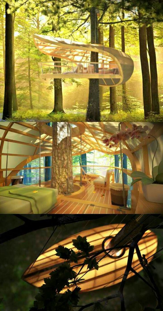Embrace Serenity: Immerse Yourself in a Tree House Retreat - Amazing Nature